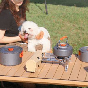 Cocinilla de Gas Compacta para Camping - Imagen 2